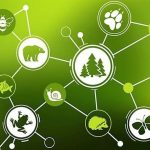 22 de mayo, Día de la Biodiversidad: Acción Andina impulsa la restauración ecológica como respuesta a la pérdida de biodiversidad en Sudamérica